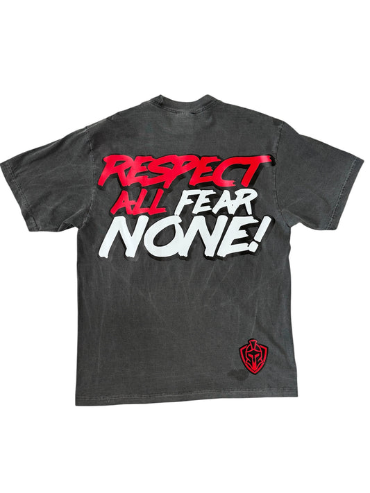 Heavyweight “R.A.F.N.” V2 Tee